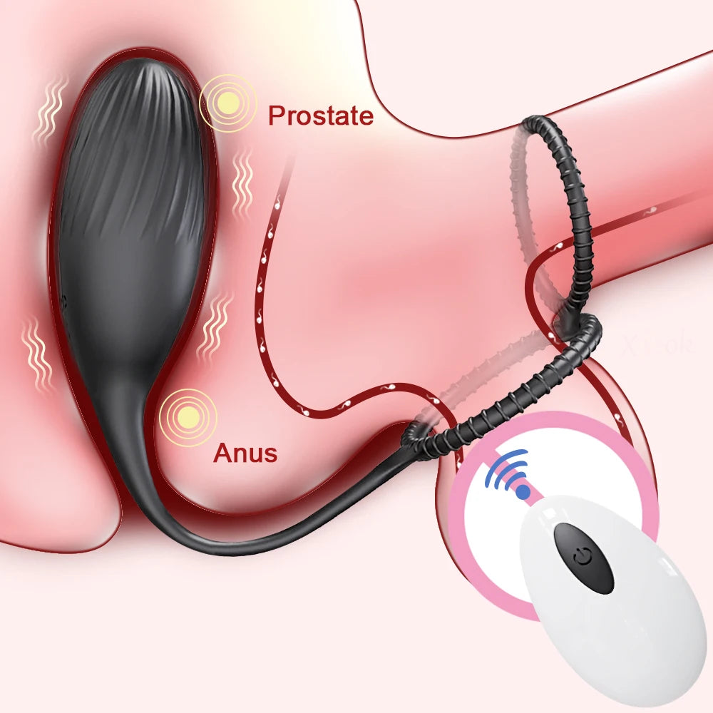 Plug Anal Vibrant Masseur Prostate TLUDA – Anneau Pénien Wearable | APP ou Télécommande
